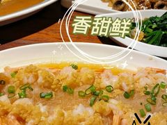-前海沿·青岛菜(大拇指广场石老人店)