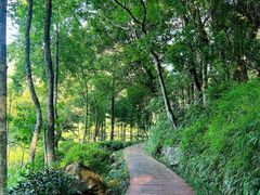 -广州市石门国家森林公园