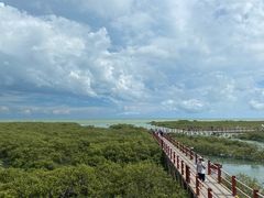 -北海金海湾红树林生态旅游区