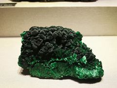 -河南自然博物馆