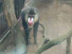 -昆明动物园