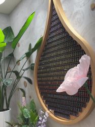 -dōTERRA多特瑞精油生活馆