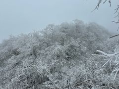 -九峰山