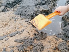 -碧海金沙