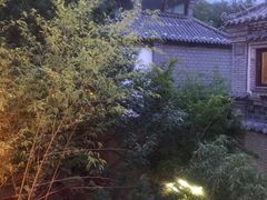 -老张烤羊(王哥庄店)