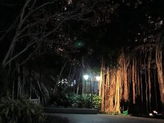 -乌山风景区