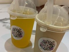 -Husky Go! 哈士奇体验馆·宠物咖啡厅狗咖