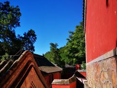 -北京西山国家森林公园