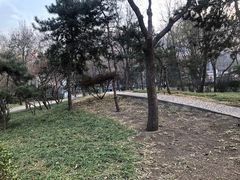 -方庄体育公园