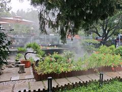 -蘇河湾·新鲁菜·泰山宴(泰山店)