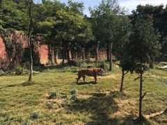 -无锡动物园·太湖欢乐园