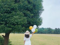 -山明水秀大饭店