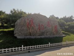 -塘沽森林公园
