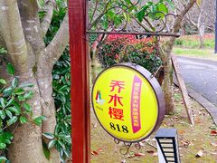 -东平国家森林公园