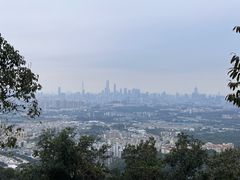 -火炉山森林公园