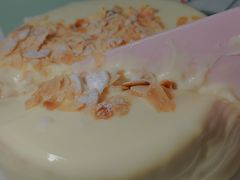 -维尔纳斯·生日蛋糕·动物奶油冰淇淋蛋糕(雨花店)