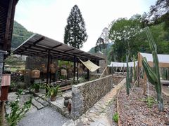 -MOJ coffee(瓯海泽雅水碓坑店)