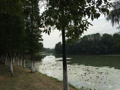 -艾溪湖湿地公园