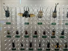 -国家自然博物馆