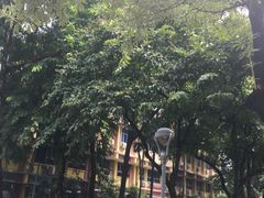 -中山大学附属肿瘤医院体检中心