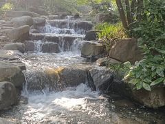 -中国茶叶博物馆(双峰馆区)