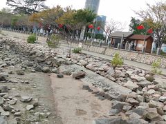 -深圳湾公园(南山区)