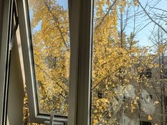 -北京国家会计学院