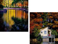 -上海共青森林公园