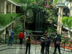 -广州白天鹅宾馆