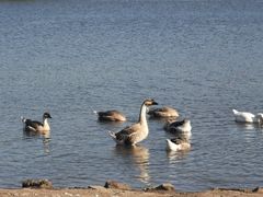 -长春市南湖公园