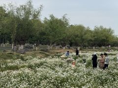 -汉长安城未央宫国家考古遗址公园