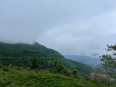 -武陵山森林公园