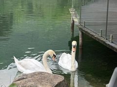 -杭州开元森泊度假乐园