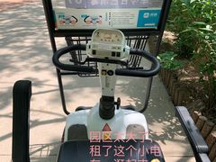 -塘沽森林公园
