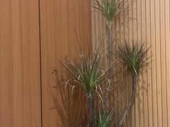 -乔街深夜食堂·台州菜·高压锅生蚝(杭州总店)