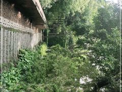 -晋江五店市传统文化旅游区