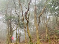 -梧桐山风景名胜区