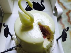 -BLACKSWAN黑天鹅(环球店)