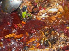 -探鱼·鲜青椒爽麻烤鱼(天河优托邦店)