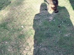 -玻璃桥景区石牛寨