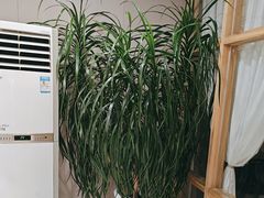 -千枝花·按摩·美容·经络SPA(建旺大厦店)