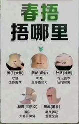 -香薇妮丝·定制减肥·身材管理