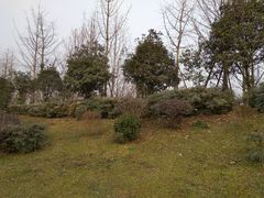 -白鹭湾湿地公园