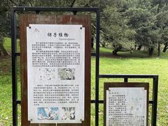 -杭州植物园