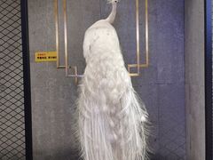 -火啫啫·粤式啫啫煲(南通首店)