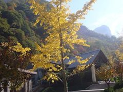 -少华山国家森林公园