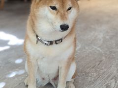 -小时光咖啡馆(北锣鼓巷店)