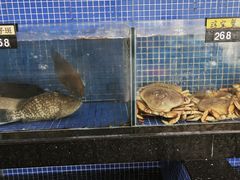 -明记海鲜大排档(巽寮湾店)