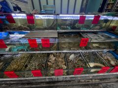 -金海湾海鲜排档(朱家尖店)