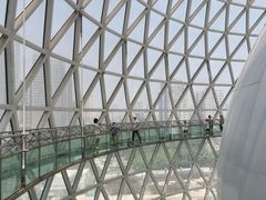 -陕西自然博物馆